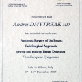 Powiększ obraz: certificate 12