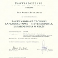 Powiększ obraz: certificate 35
