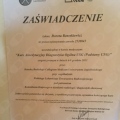 Powiększ obraz: certificate 5