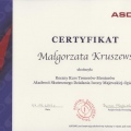 Powiększ obraz: certificate 4