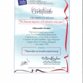 Powiększ obraz: certificate 11