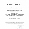 Powiększ obraz: certificate 28
