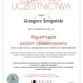 Powiększ obraz: certificate 10