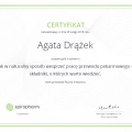 Powiększ obraz: certificate 7