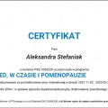 Powiększ obraz: certificate 26