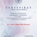 Powiększ obraz: certificate 8