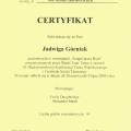 Powiększ obraz: certificate 13