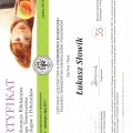 Powiększ obraz: certificate 3