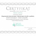 Powiększ obraz: certificate 2