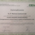 Powiększ obraz: certificate 4