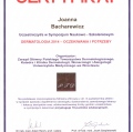 Powiększ obraz: certificate 6