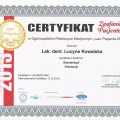 Powiększ obraz: certificate 4