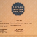Powiększ obraz: certificate 12