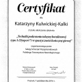 Powiększ obraz: certificate 3