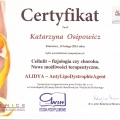 Powiększ obraz: certificate 5
