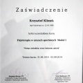 Powiększ obraz: certificate 3
