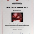 Powiększ obraz: certificate 11