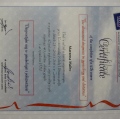 Powiększ obraz: certificate 2