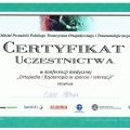 Powiększ obraz: certificate 19