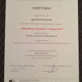 Powiększ obraz: certificate 11
