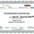 Powiększ obraz: certificate 11