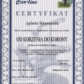 Powiększ obraz: certificate 27