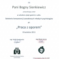 Powiększ obraz: certificate 3