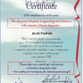 Powiększ obraz: certificate 5