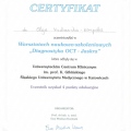 Powiększ obraz: certificate 5