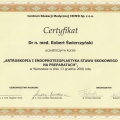 Powiększ obraz: certificate 10