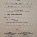Powiększ obraz: certificate 3