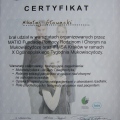 Powiększ obraz: certificate 26