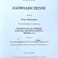Powiększ obraz: certificate 5