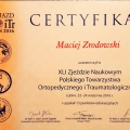 Powiększ obraz: certificate 26