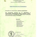 Powiększ obraz: certificate 3