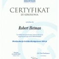 Powiększ obraz: certificate 28