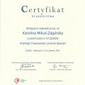 Powiększ obraz: certificate 15