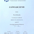 Powiększ obraz: certificate 13