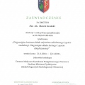 Powiększ obraz: certificate 9