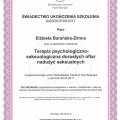 Powiększ obraz: certificate 4