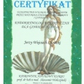 Powiększ obraz: certificate 3