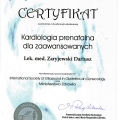 Powiększ obraz: certificate 8