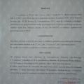 Powiększ obraz: certificate 5