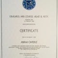 Powiększ obraz: certificate 5