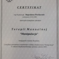 Powiększ obraz: certificate 9