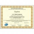 Powiększ obraz: certificate 6