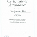 Powiększ obraz: certificate 19