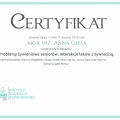 Powiększ obraz: certificate 12