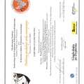 Powiększ obraz: certificate 5