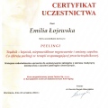 Powiększ obraz: certificate 8